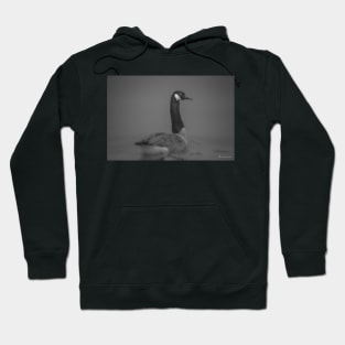 Branta canadensis Hoodie